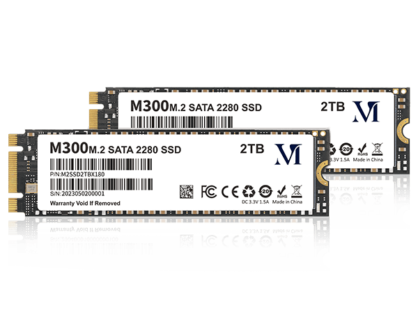 M.2 SATA 2280 SSD