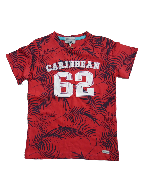 Boys T-shirts 3